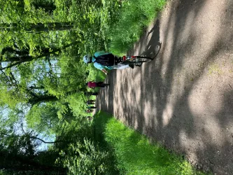 Geführte Radtour Mühlen - Radgruppe im  Wald