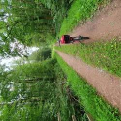 Radfahren im Bienwald