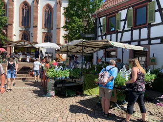 Kandeler Kräuter- und Ölmarkt 2024_Pressebild_2