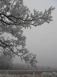 Winterspaziergang Rauhnächte und Mythen