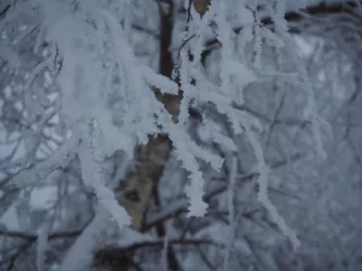 Wintertag im Schwarzwald Januar 2021