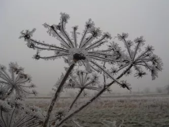 Winterspaziergang Rauhnächte