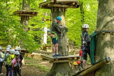 AbenteuerPark Kandel Fun Forest 4 cc-by Pfalz.Touristik, Heimatlichter GmbH