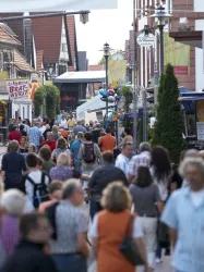 Stadtfest Kandel, Besucher (© VHG Kandel e.V., Foto by Stefan Roller)