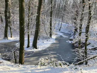 otterbachwanderweg_winter_2024_04_cc_vgj